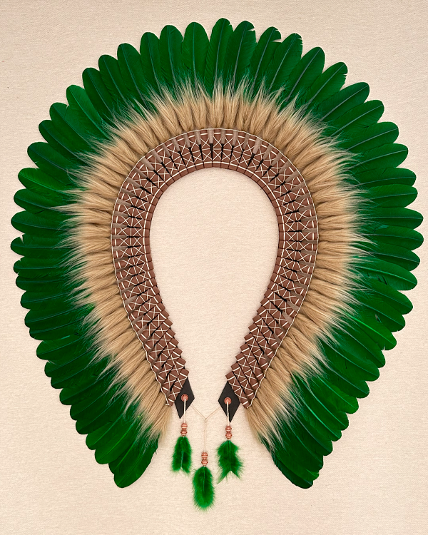 Cocar Sem Moldura
